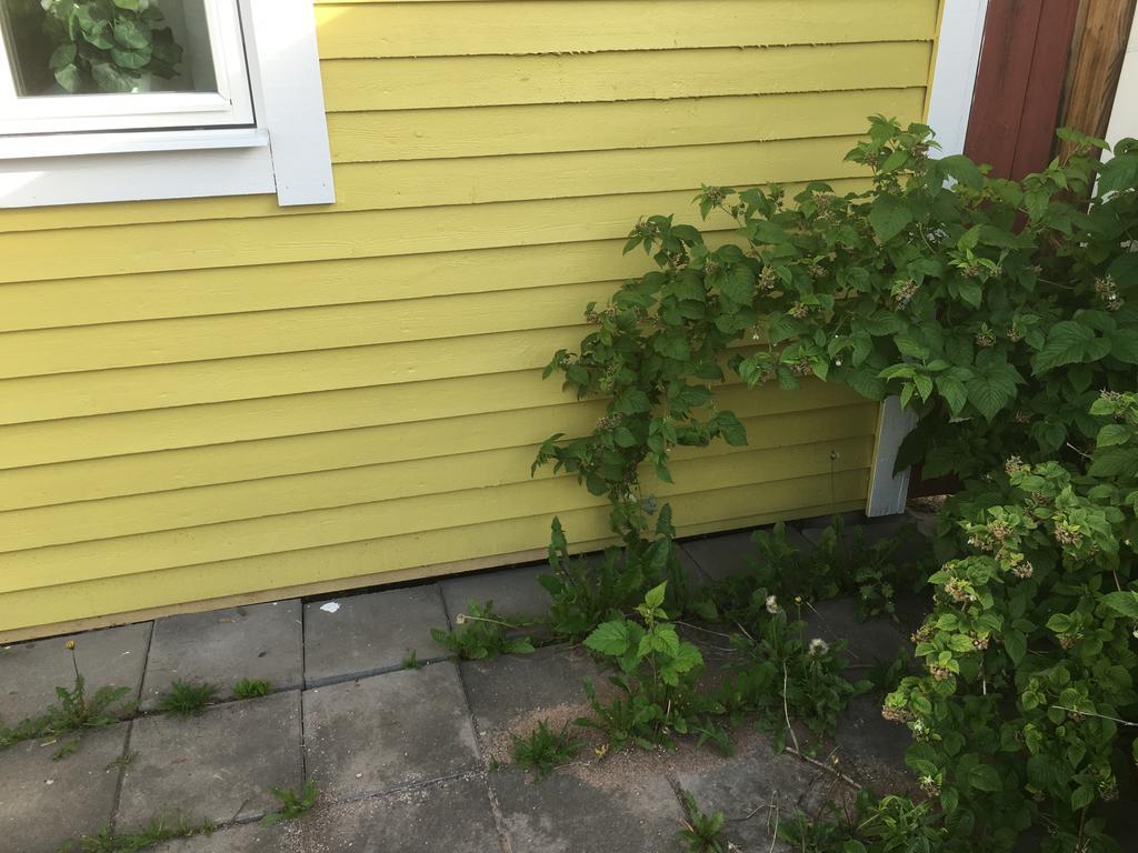 Augustas Bed & Breakfast Rättvik Zewnętrze zdjęcie